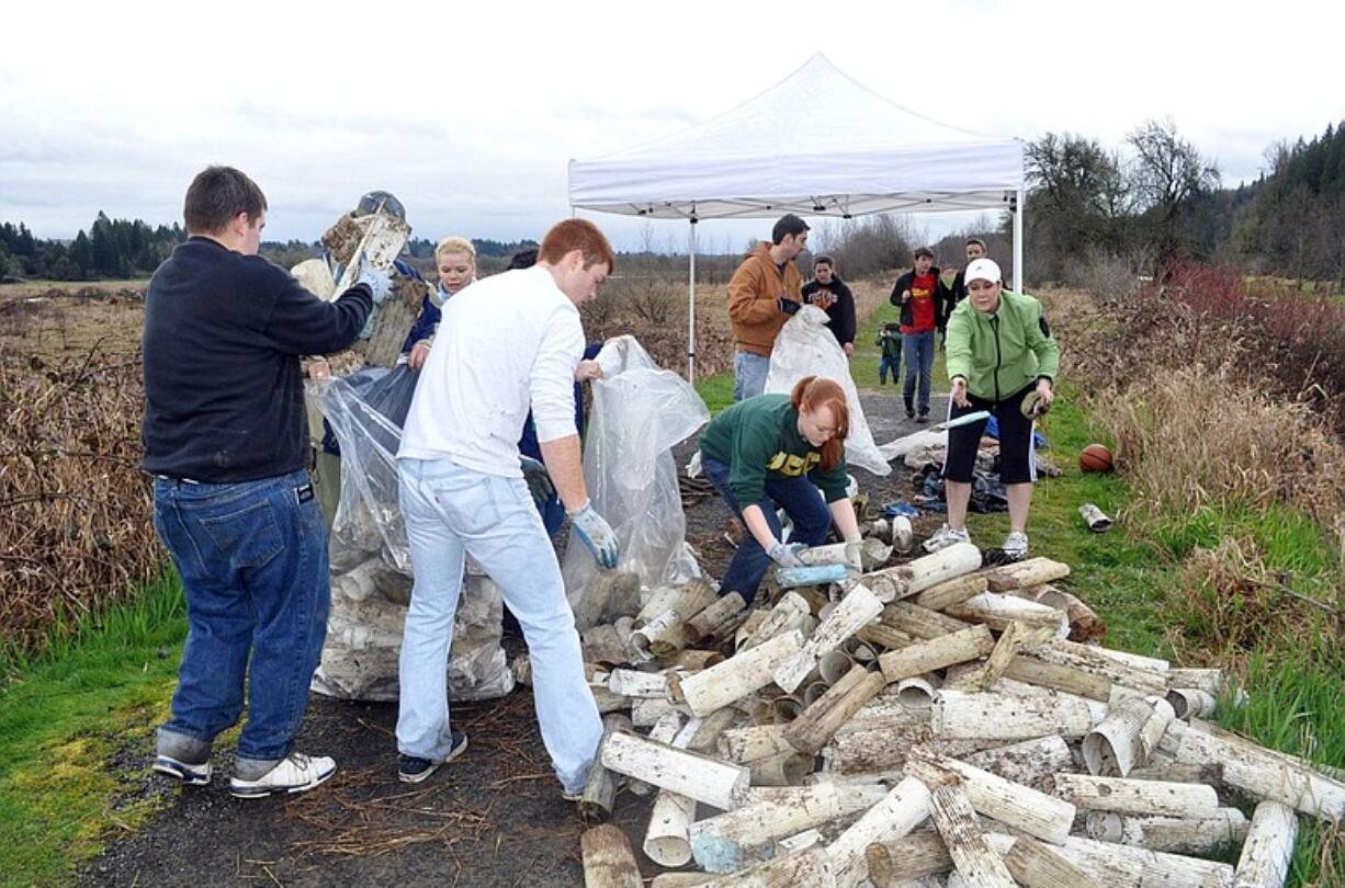 Look closely and you'll see those cylinders aren't logs -- they're plastic sapling protectors.