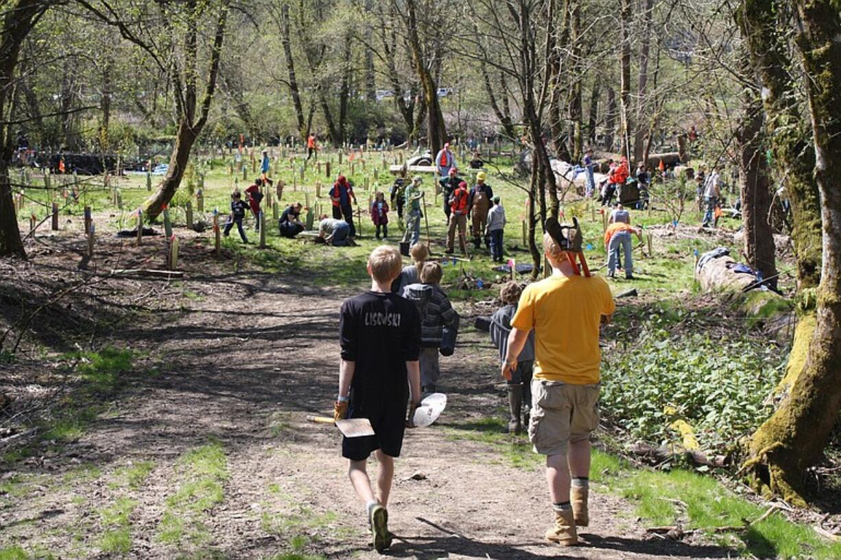 Hundreds of people turned out Saturday at Salmon Creek Regional Park to plant trees as part of StreamTeam's Earth Day celebration.