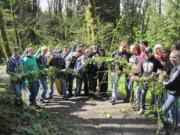 Whipple Creek: Kids from Vancouver Christian High and Middle schools enjoyed some Earth Day sunshine as they yanked out invasive English ivy that could have strangled more than 70 native trees at Whipple Creek Regional Park.