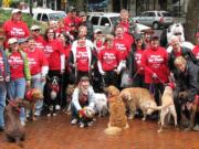 Humane Society for Southwest Washington volunteers Jerry and Maura Quilling, far left, with the Papa Murphy's pack of walkers.