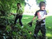 Makenzie, on left, Annabelle and Mason Vonk pull ivy during the fourth Annual Vancouver-Clark Parks &amp; Recreation Annual Ivy Pull at South Cliff Park and Blandford Canyon.