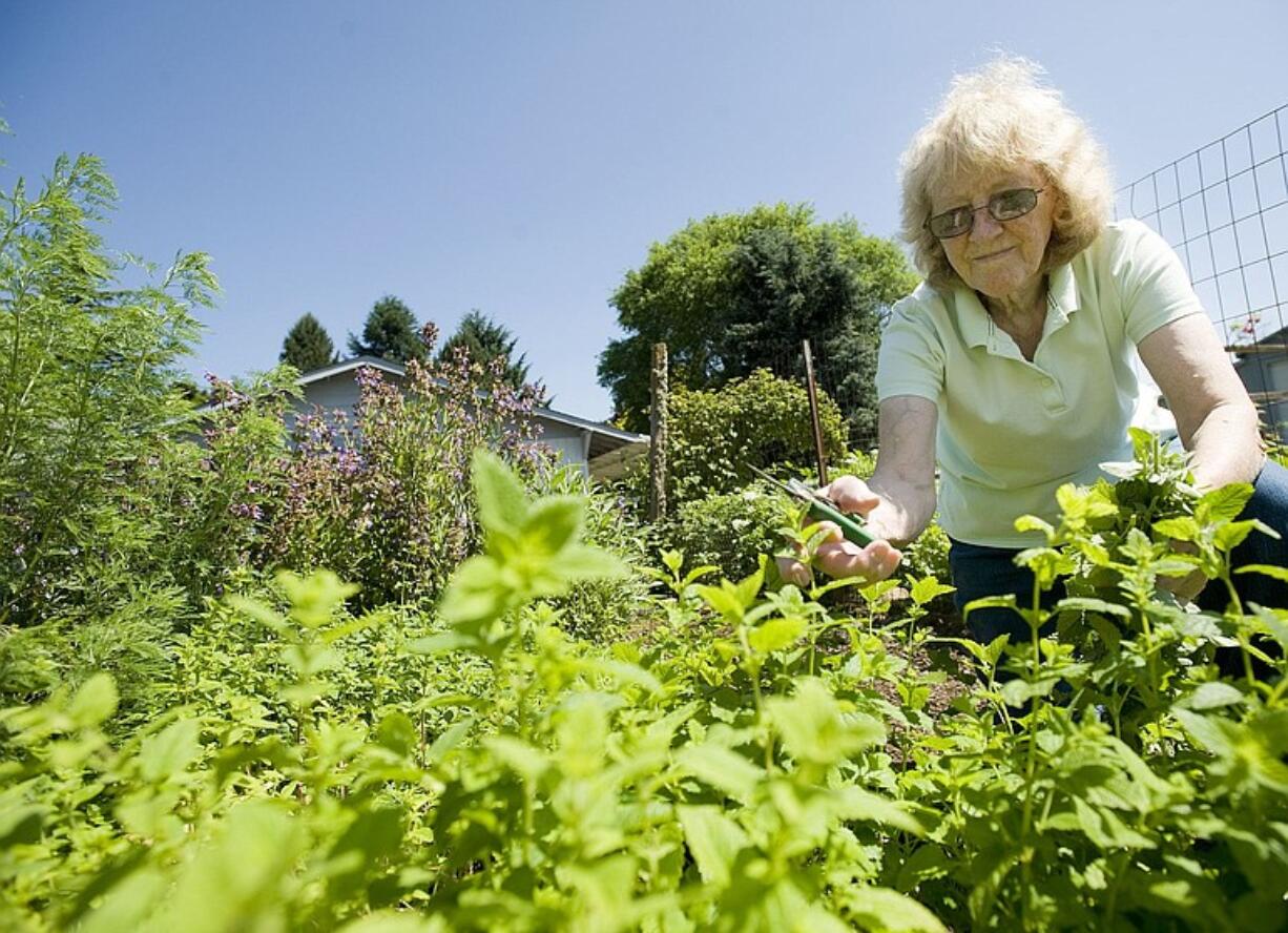 Eloyce O'Connor, owner of Garden Delights Farm in Brush Prairie, works in her herb garden.