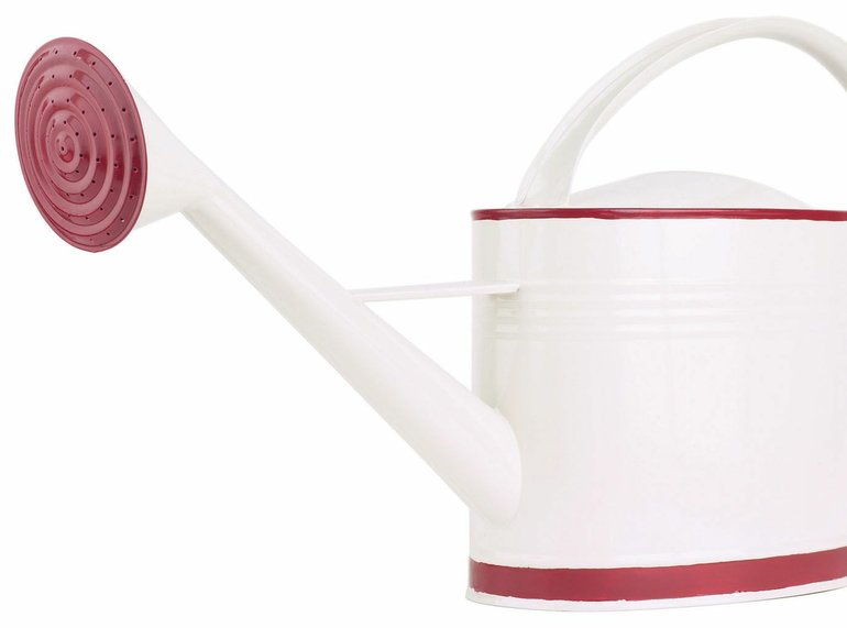 Gardening watering can