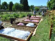 Members of Christian Youth Theater helped install raised garden beds in the Rose Village neighborhood.