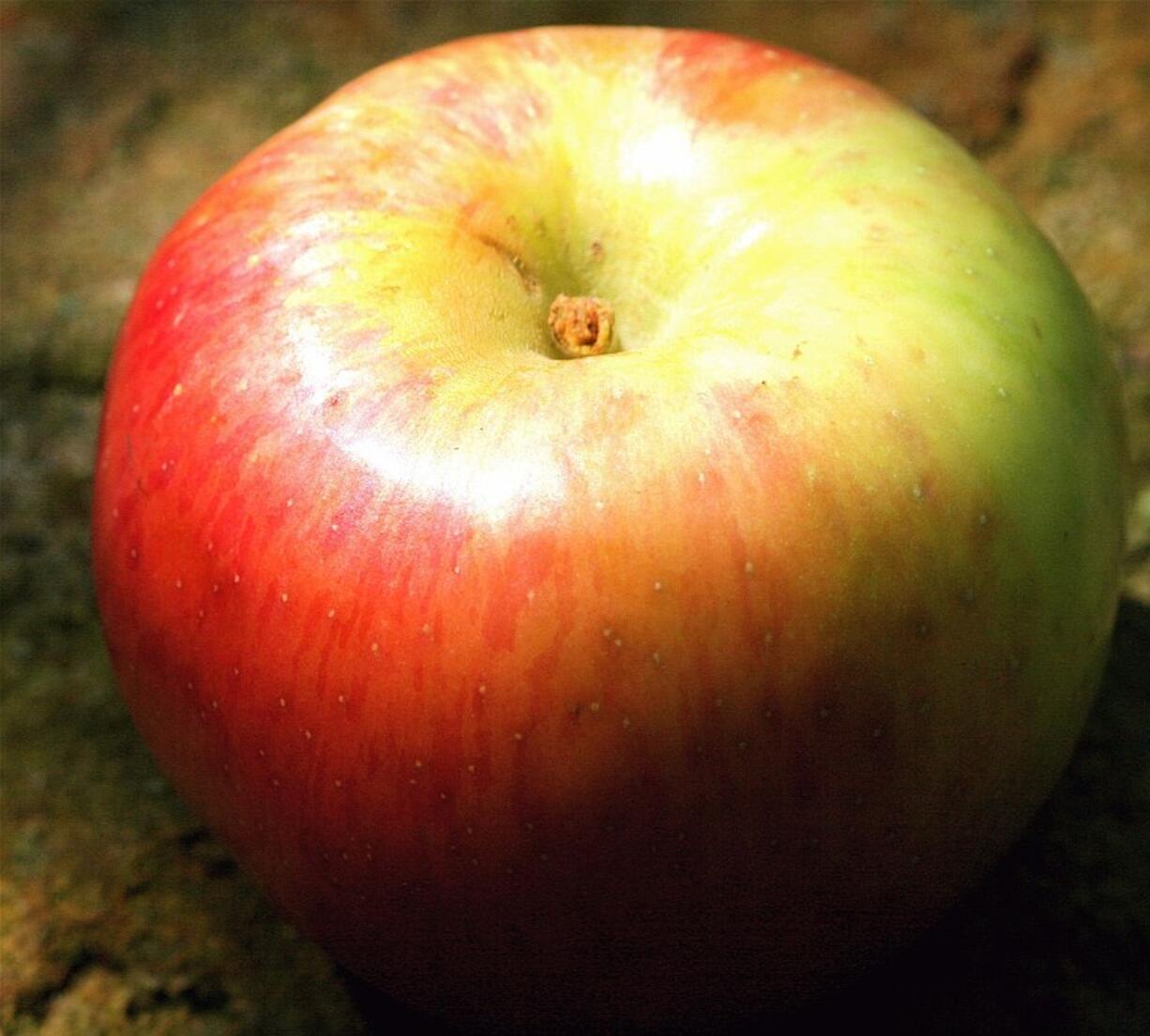 Antioxidants in the peel of the apple help fight aging.