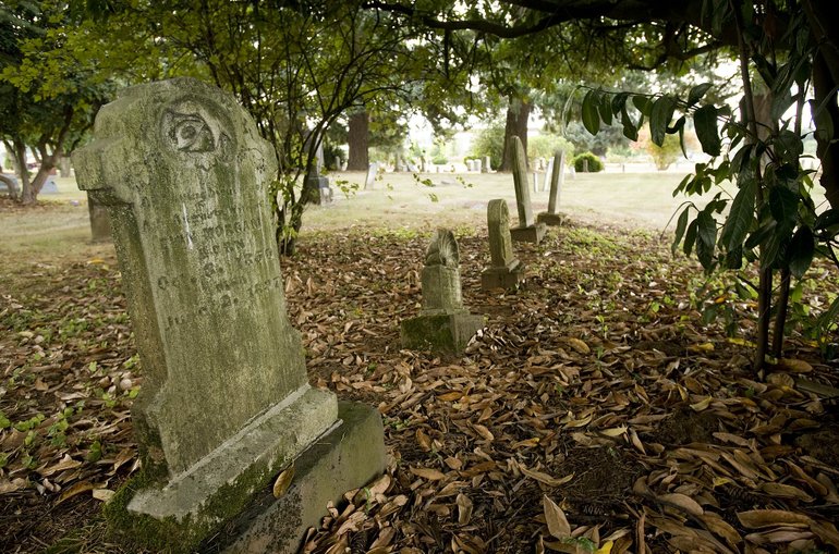 Grave markers at the Brush Prairie Cemetery are sometimes hard to examine. People used to plant memorial trees near their loved ones, not realizing that the trees would eventually grow large enough to damage or overgrow the headstone.