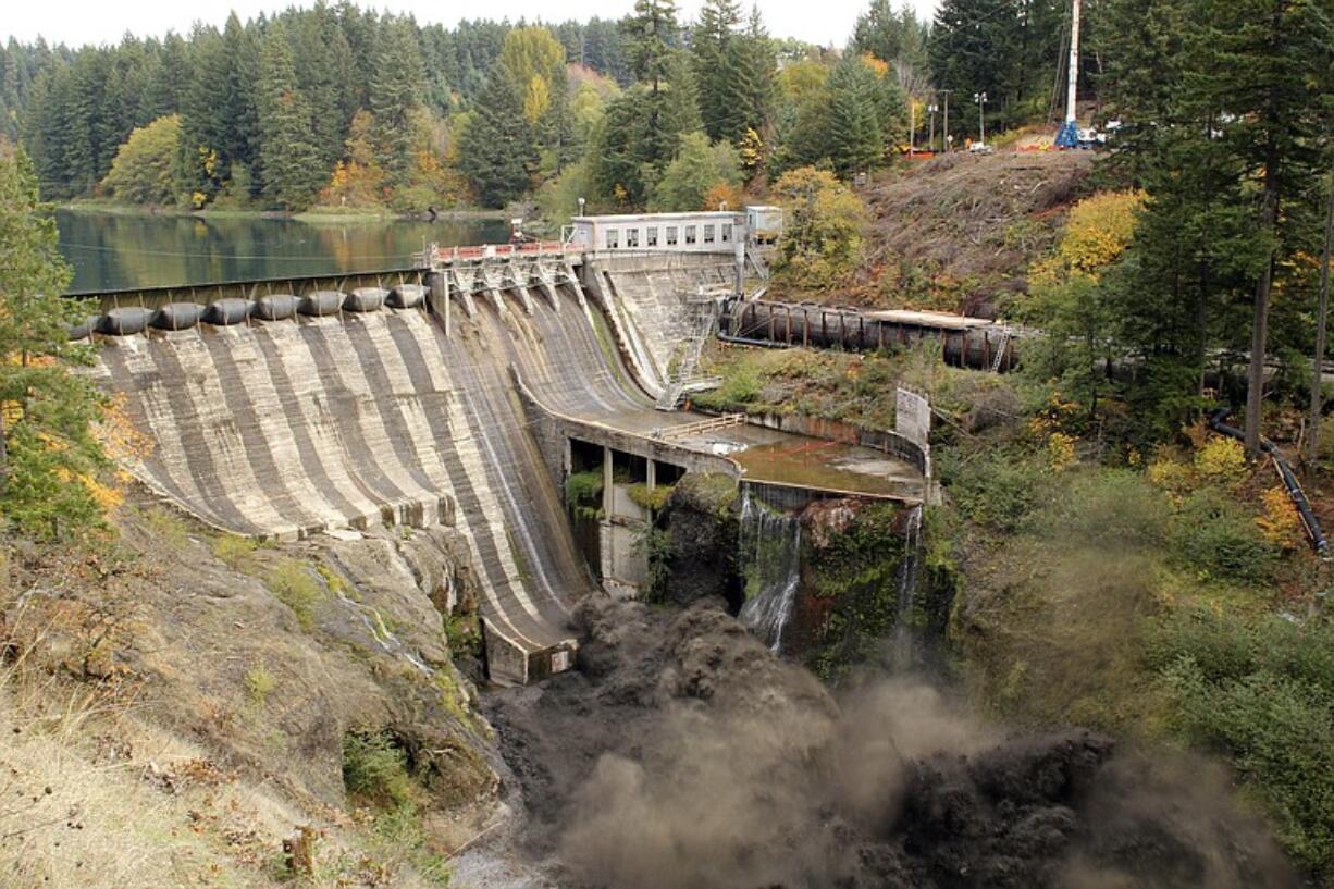 The Condit Dam is breached Oct. 26. Sediment, debris and logs that were backed up behind the dam are creating jams on the White Salmon River that could pose a threat to people.