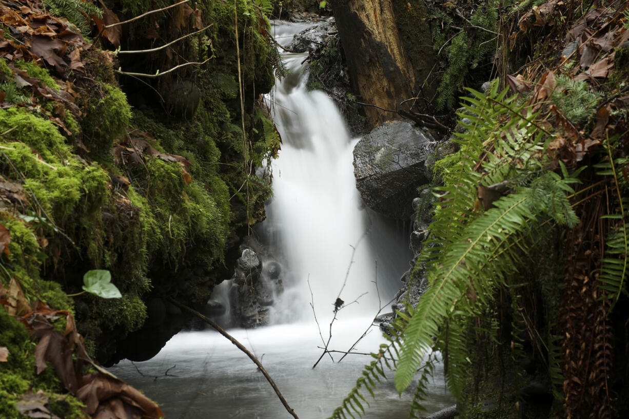 Waterfalls on Cougar Creek