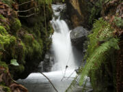 Waterfalls on Cougar Creek