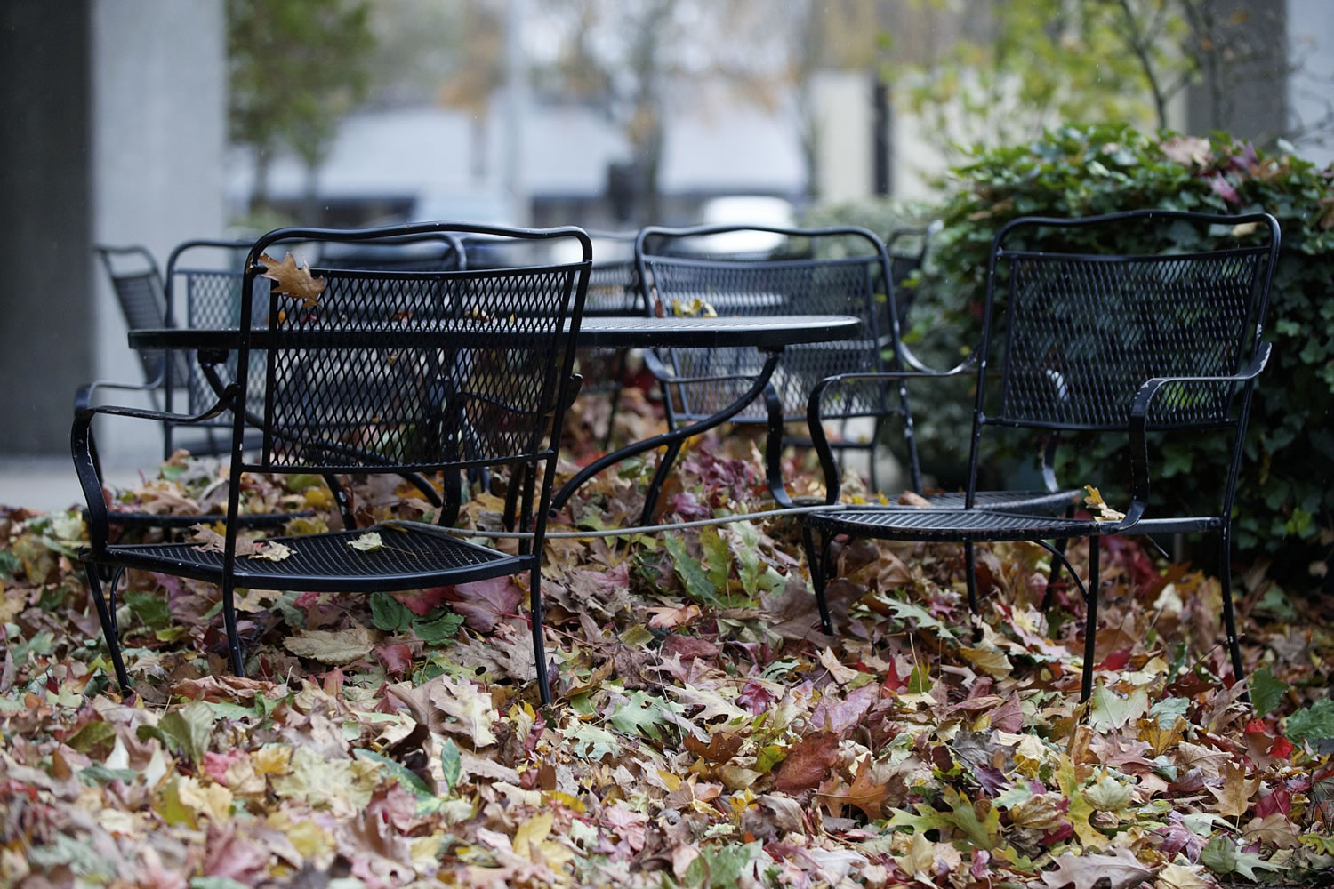 Business as usual in downtown Vancouver as Clark County waits for snow, Thursday, November 13, 2014.