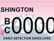 Washington State Department of Health
Beginning Jan. 1, the state will sell breast cancer license plates.