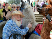 Norm Jahnke of Vancouver gets a hands-on experience with Smokey, a llama from Mountain Peaks Therapy Llamas