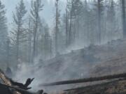 Courtesy of the state Department of Natural Resources
A smoldering landscape remains in the wake of the Gold Rush Fire, which burned about 60 acres in western Skamania County, several miles from Dougan Falls. The fire was 100 percent contained by Sunday.