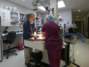 Veterinarian Kathryn Claus, left, and technician Kori Reitmajer prep a dog for surgery inside Claus Paws animal hospital.