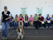 Photos by Amanda Cowan/The Columbian
Bobbe Whetsell, a 4-H volunteer, shows her dog, Maya, at the Clark County Fair on Monday. Whetsell was showing her Sheltie to help the 4-H participants hone their judging skills.