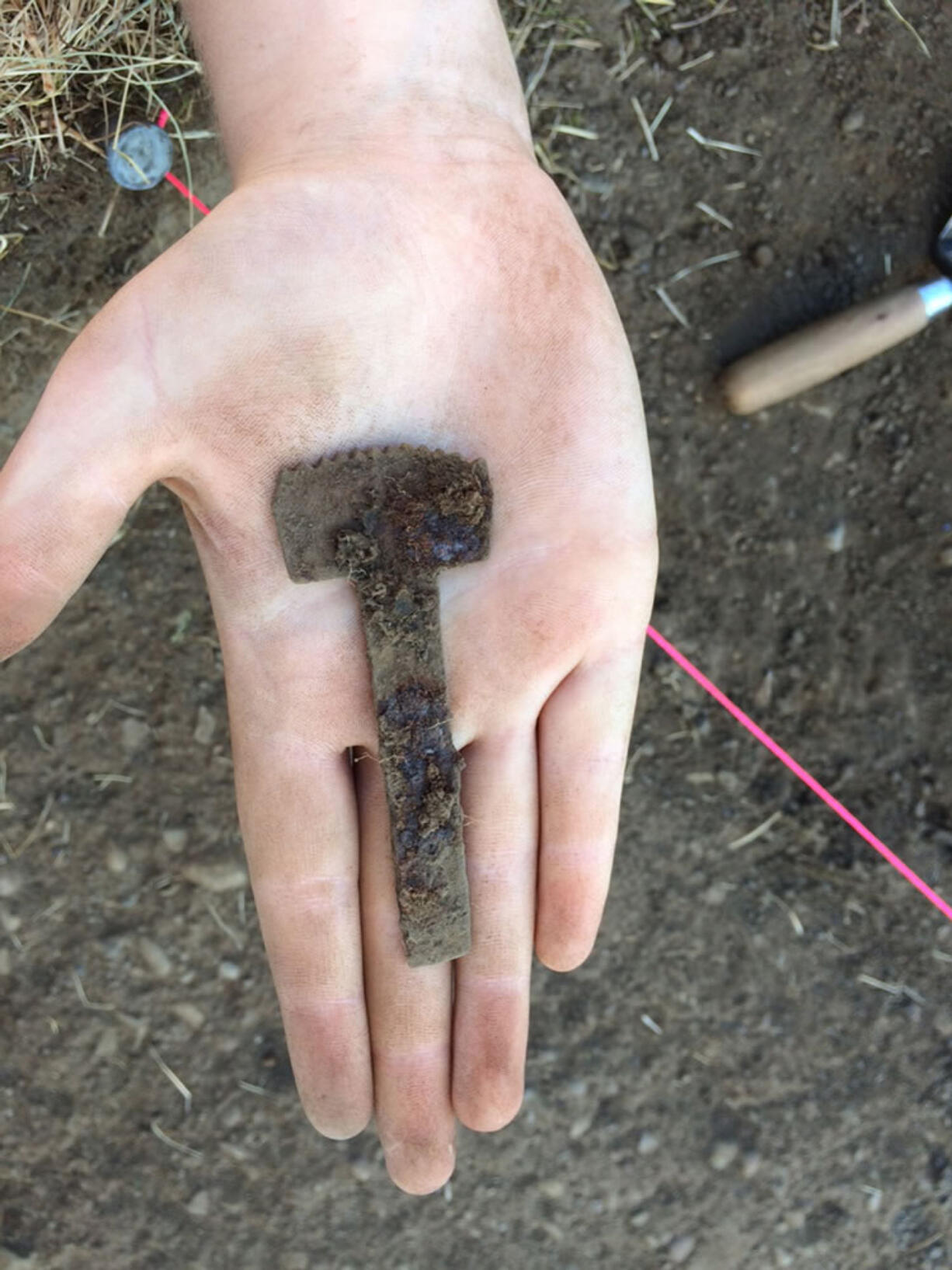 Doug Wilson/National Park Service
A participant in the 2015 field school displays the blade of a croze, a tool used in barrel-making, that was found at Fort Vancouver this summer.