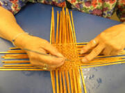 Alta High Elk, Portland, weaves a small cedar basket at the Grande Ronde tribal office in Portland. The inner layer of the outer bark is cut into strips and split by hand. Then the cedar strips are dried for a year. When the weaver is ready to use the cedar, it's immersed in water.