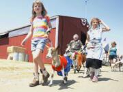 Photos by Steve Dipaola for The Columbian
Aedra Hausrath, 7, leads Justice, a miniature Nigerian dwarf goat, in a goat dress-up parade Sunday at the Clark County Fair.