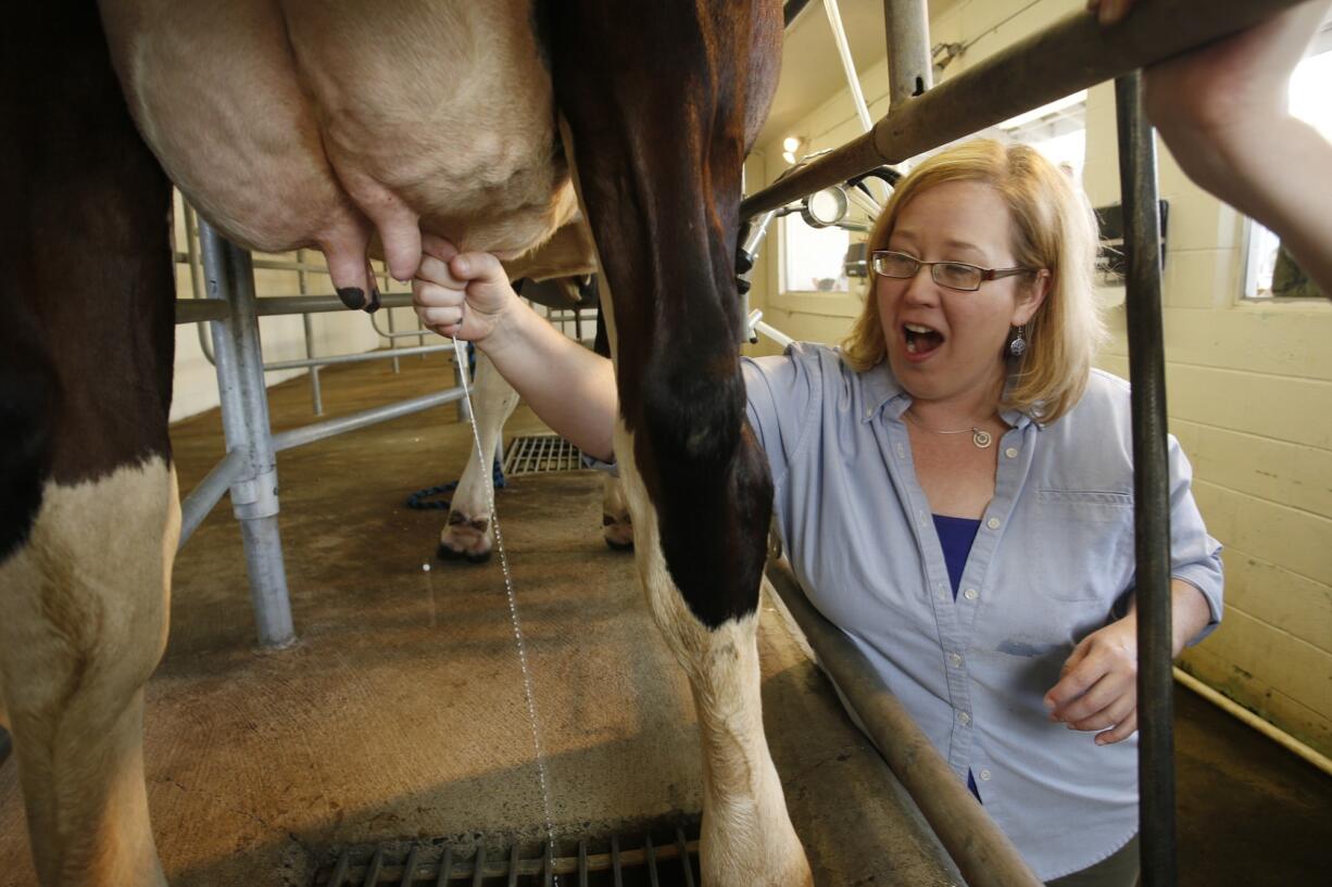 Columbian city government reporter Amy Fischer tries milking a cow for the first time Saturday at the Clark County Fair.