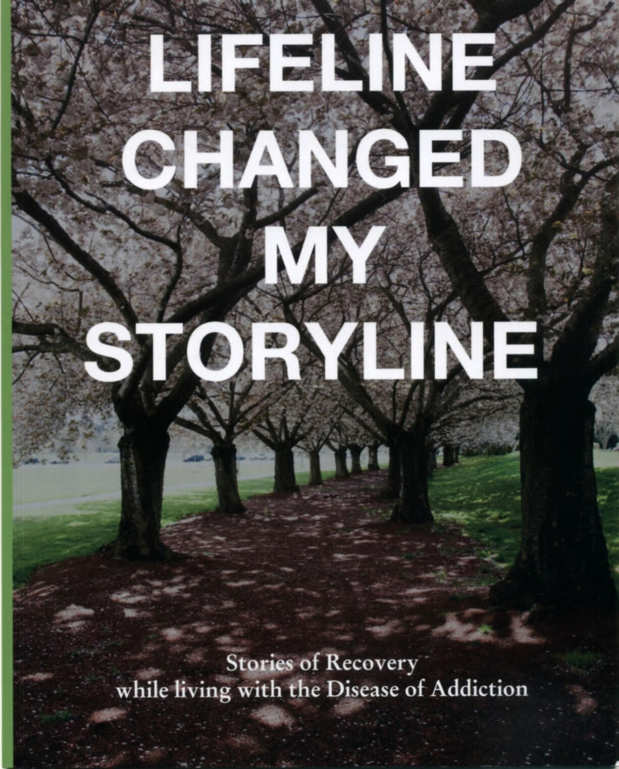 This new 42-page book tells 14 true stories of addiction and recovery.