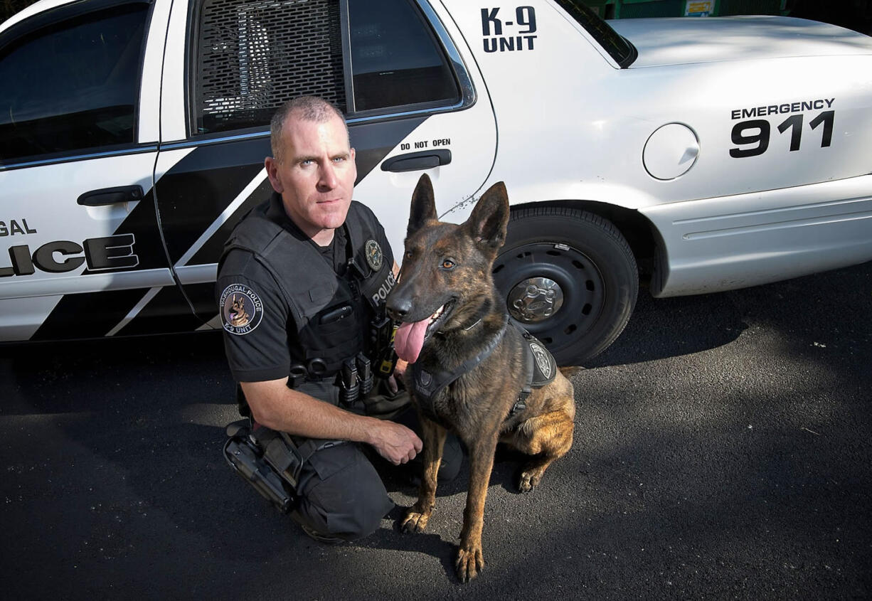 Washougal police Officer Kyle Day poses for a portrait with his K-9 partner, Ranger, on July 8.