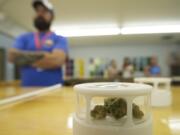 Customers have the opportunity to inspect different strains of marijuana for sale during the grand opening of New Vansterdam marijuana shop on July 11.