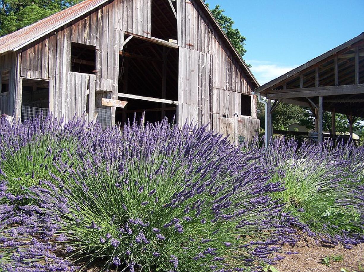 The Heisen barn in 2010 before restoration. The barn is listed on the Washington Heritage Barn Register.