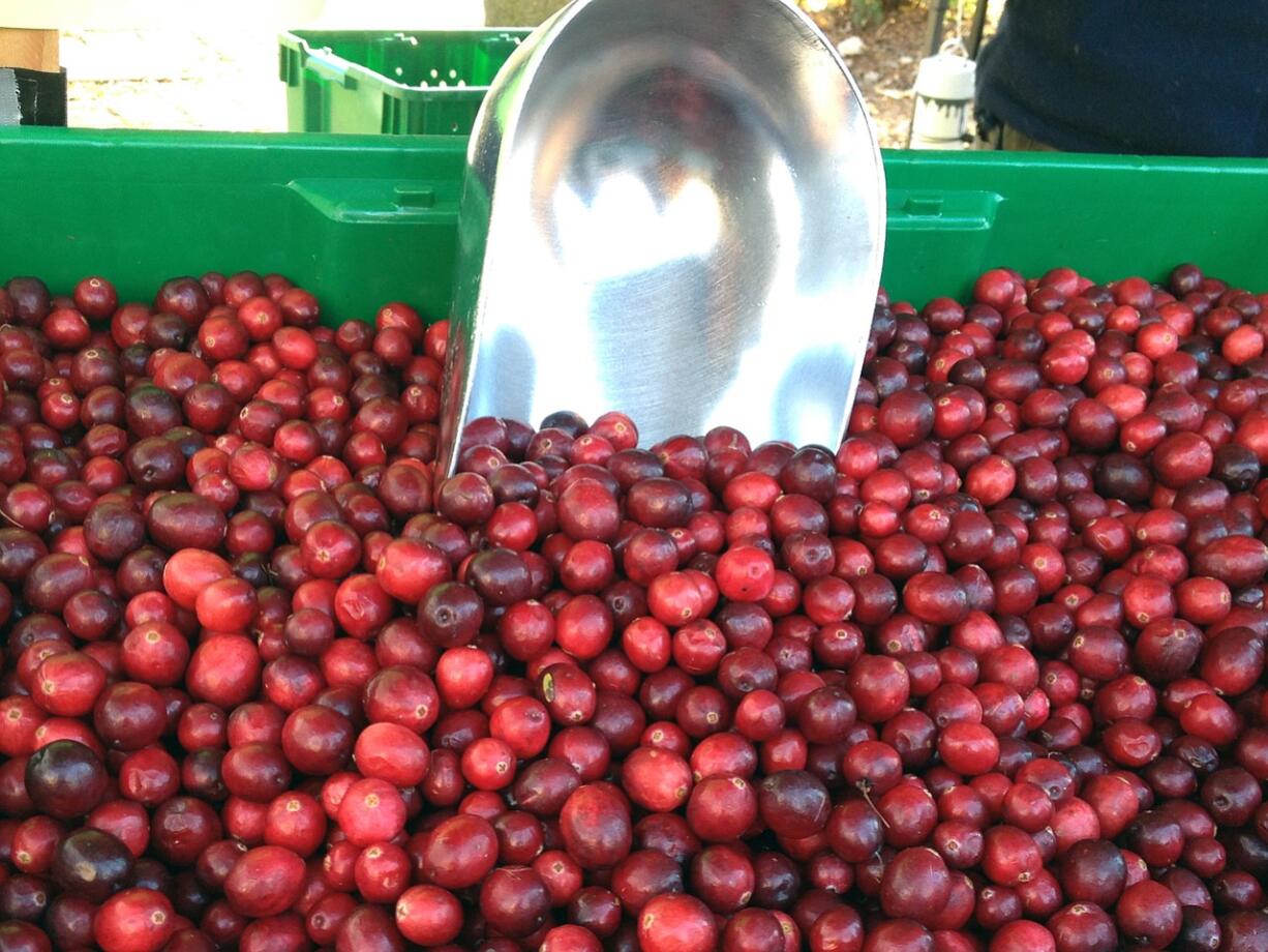 The Vancouver Farmers Market returns with harvest offerings for the holiday table Nov.