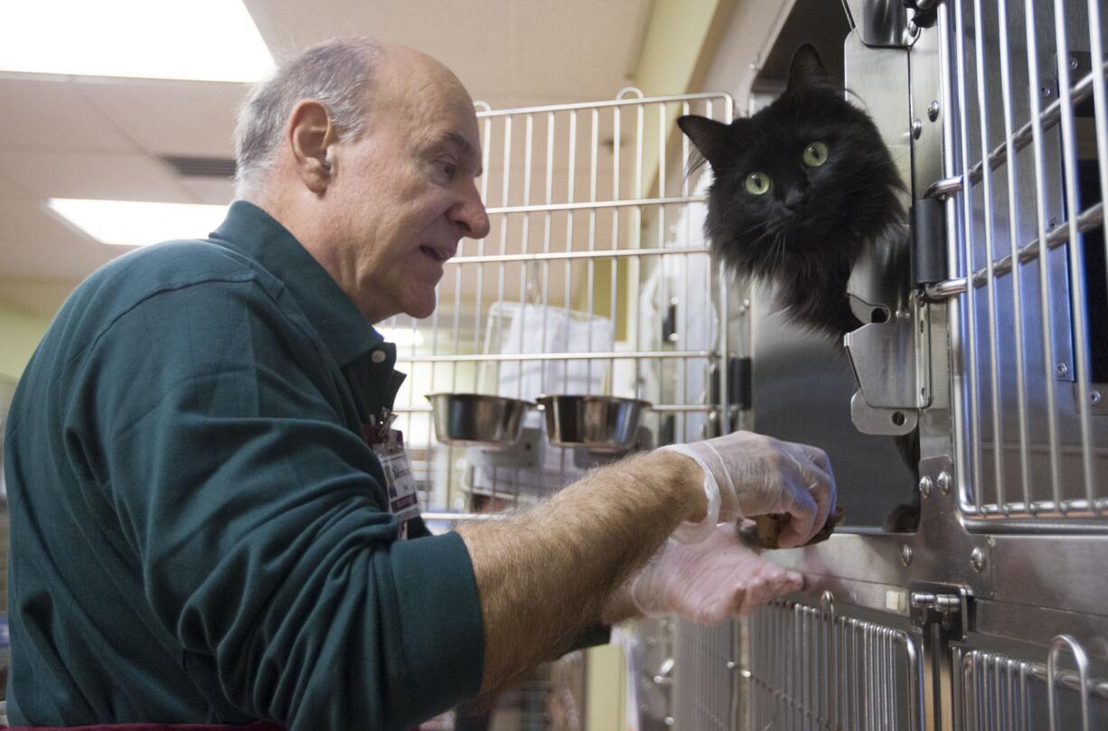 To help ease overcrowding, the Humane Society has begun offering a $10 &quot;Wise Whiskers&quot; adoption special on Tuesdays for all cats ages 3 and older.