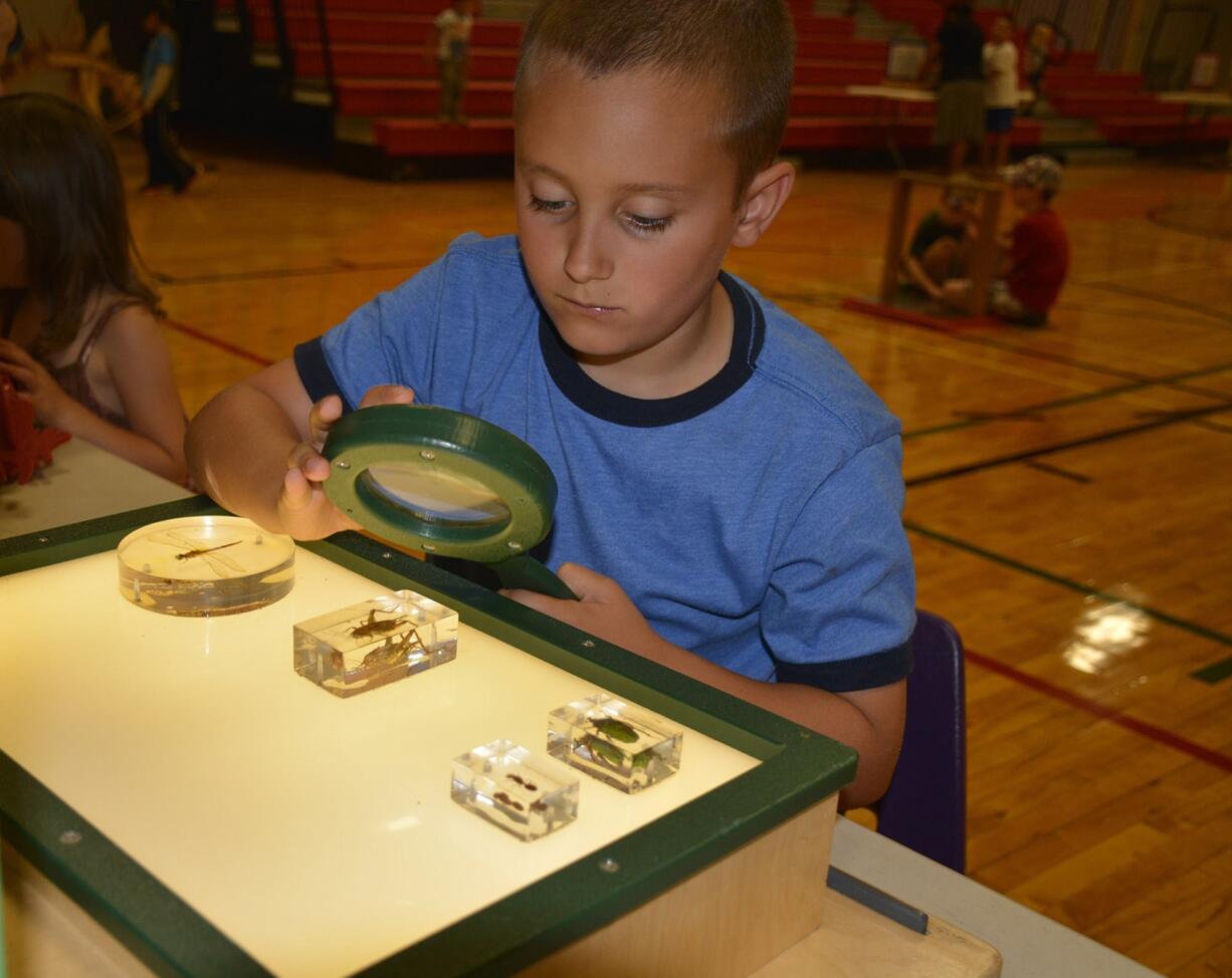 Washougal: Hathaway Elementary School student Dean Cox examines some insects during a summer program at the school hosted by the Oregon Museum of Science and Industry.