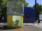 Ariane Kunze/The Columbian
Clark County Auditor Greg Kimsey falls into a dunk tank outside the Public Service Center on July 30. The event put on by Clark County Children's Sharing Project helped raise money for local school supplies.