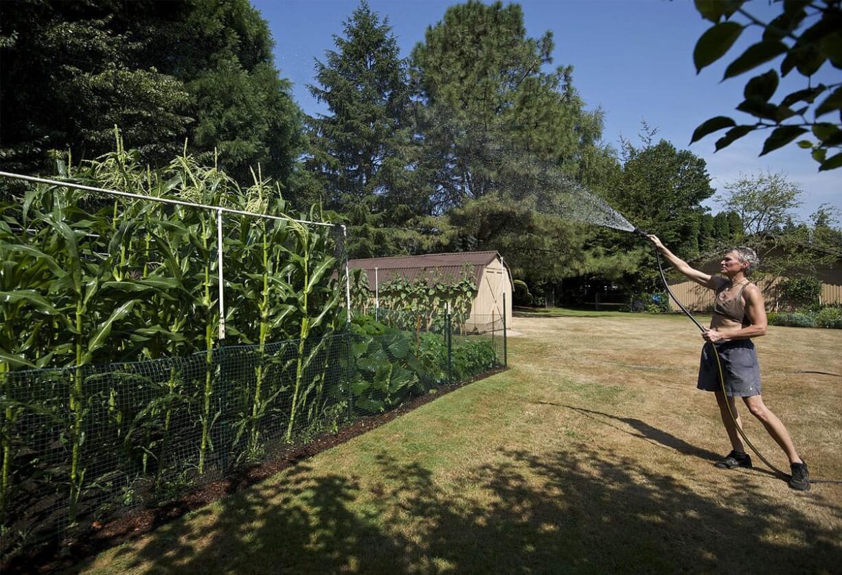 JR Ralston waters her garden at her Felida home on Monday as temperatures rose to a record-tying 98 in Vancouver.