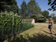 JR Ralston waters her garden at her Felida home on Monday as temperatures rose to a record-tying 98 in Vancouver.