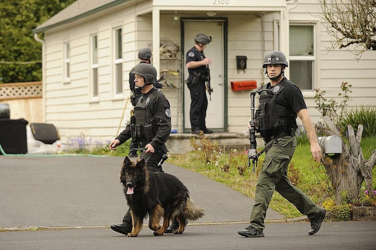 A Vancouver Police K-9 team and other police go door to door searching for a man in the Rosmere neighborhood who was trying to steal guns from a local resident Thursday.