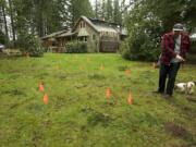 Linda Sperling's son Andy Sperling walks in his family's yard Tuesday among orange flags that mark the locations where a metal detector has found objects in the ground, some of them bullets.