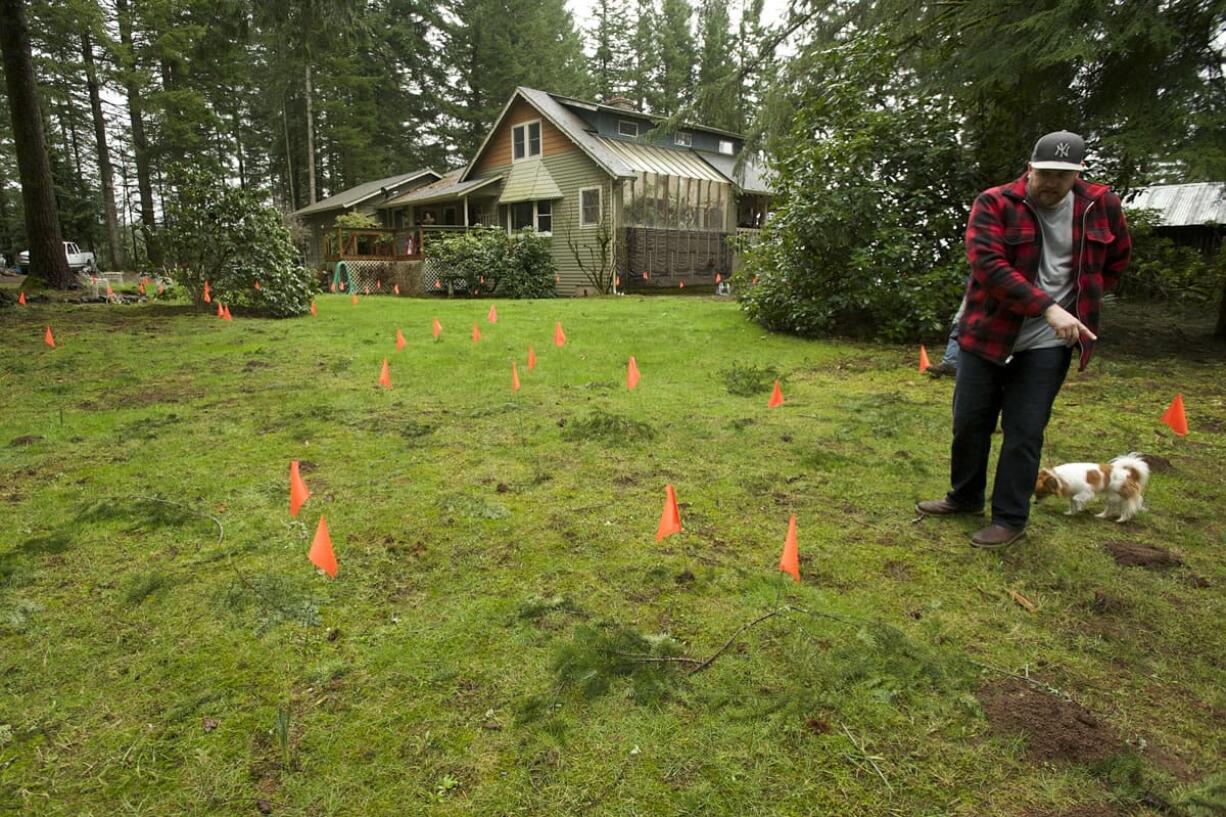 Linda Sperling's son Andy Sperling walks in his family's yard Tuesday among orange flags that mark the locations where a metal detector has found objects in the ground, some of them bullets.