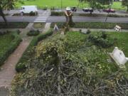 A tree fallen by high winds at the Grant House on Officer's Row in Vancouver on Saturday.