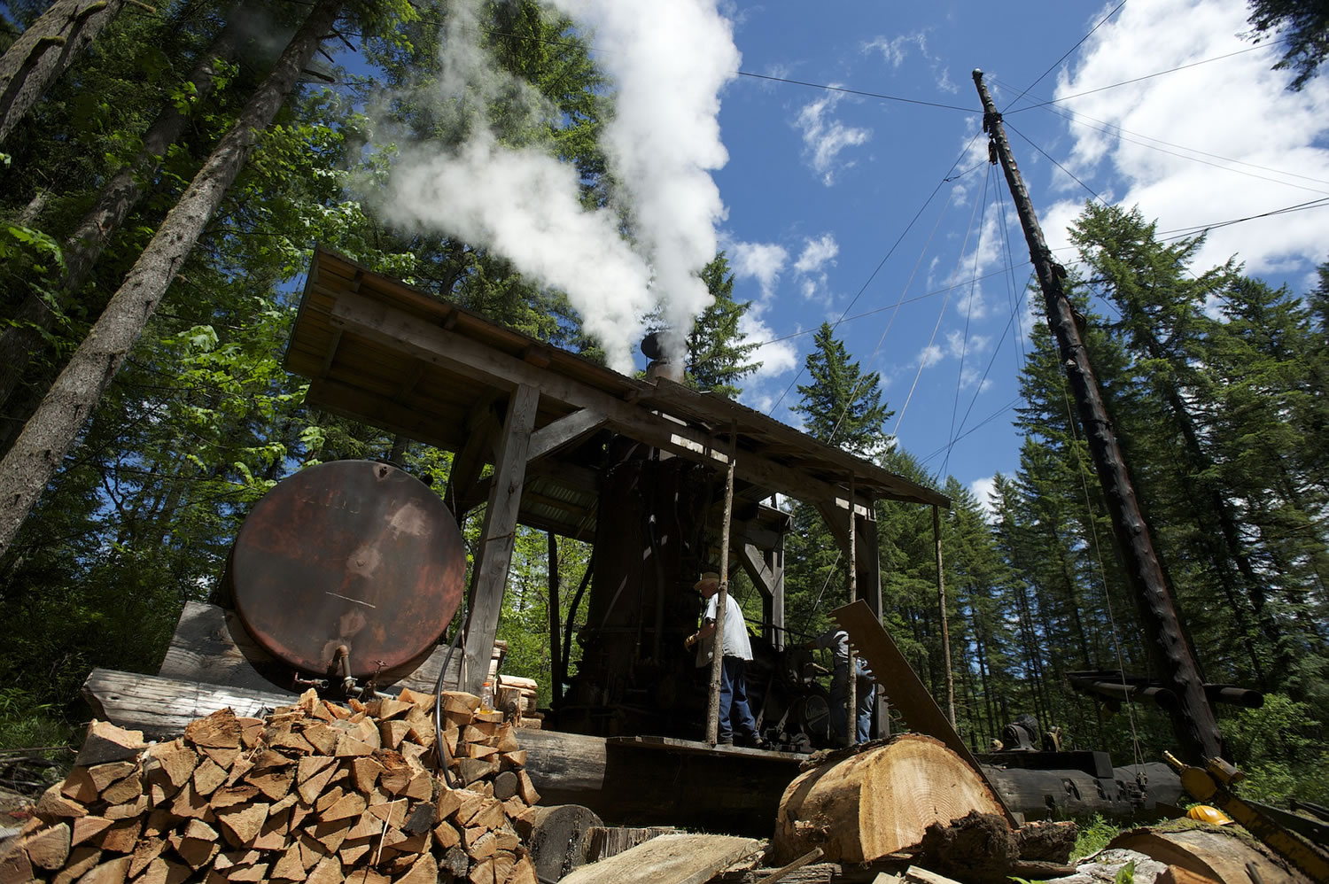 The yarder donkey moves logs into position for loading using a high lead system during the Pomeroy Farm steam logging demonstration.