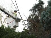 A crew from Wright Tree Service clears branches from power lines near the intersection of Santa Fe Drive and New Mexico Street in Vancouver as cleanup continued from Thursday's windstorm.