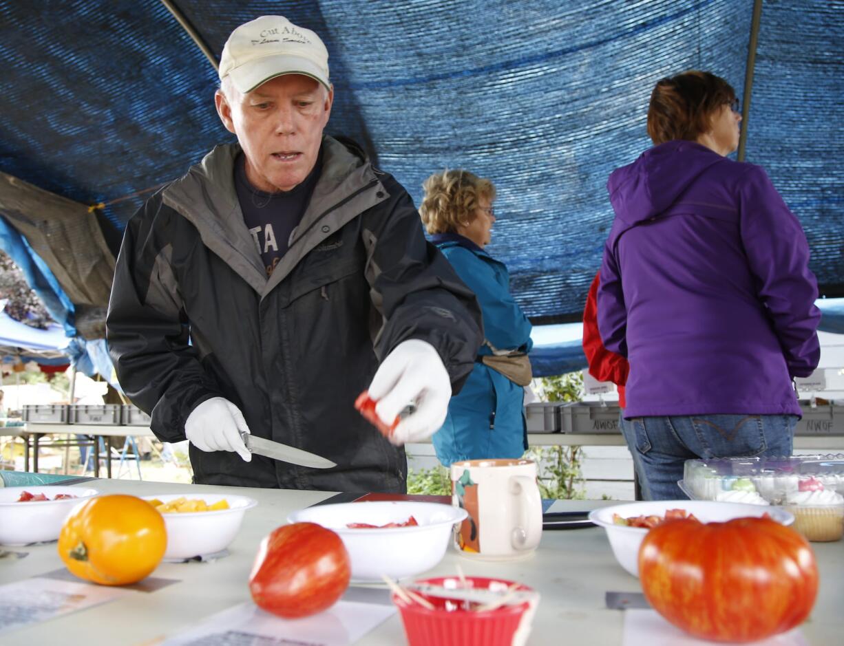 Master Gardener Jim Cave prepares samples at the Heirloom Tomato and Garlic Festival.