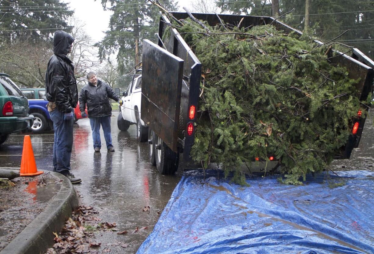 Colleen Neel of the Central Park neighborhood, back center, dumps a load of tree clippings onto a tarp, while Darrel England of Rose Village, left, watches on Jan. 17.