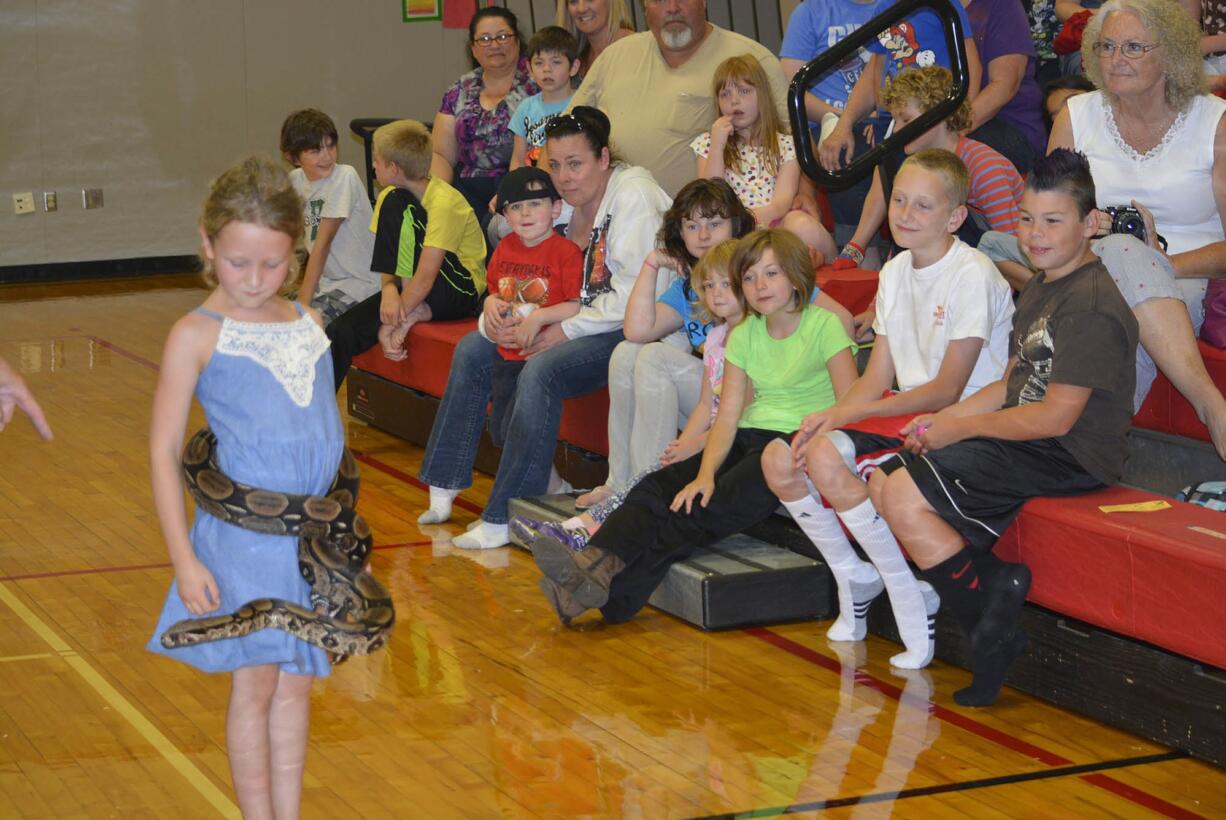 Washougal: A large snake makes friends with Magdelana Long during a July 14 visit by &quot;Reptile Man&quot; Scott Petersen to Hathaway Elementary School.