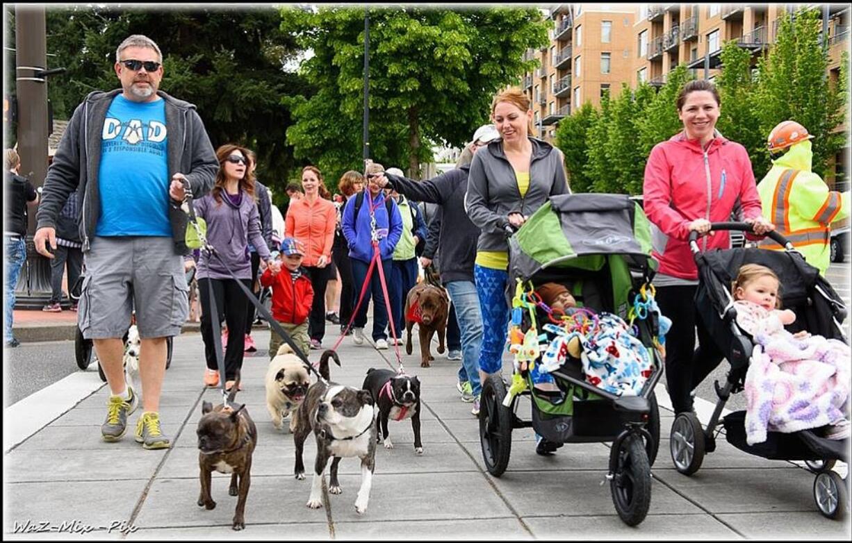 Esther Short: The Humane Society for Southwest Washington's Walk/Run for the Animals raised more than $150,000, a record for the event in its 24th year.