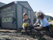 Master gardener Barbara Nordstrom teaches Skyler McCalmant, 7, about planting lettuce at the Hazel Dell School and Community Garden.