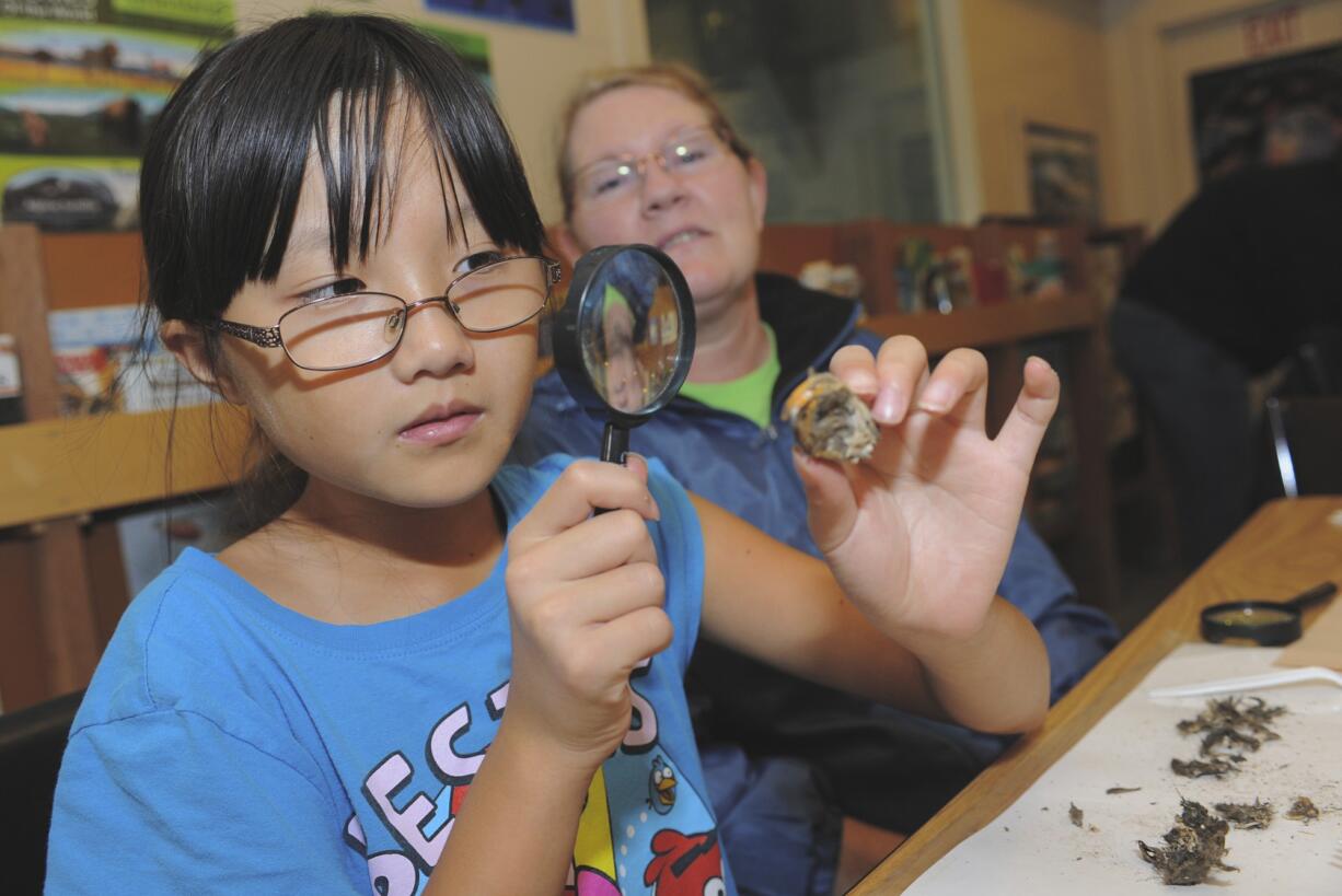 Patricia Colburn, left, and her mother, Denise Colburn, examine a small animal skull that Patricia found during her owl pellet dissection at the Fall Family Field Trip Day at the Columbia Springs environmental education center on Saturday.