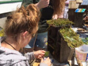 Image: Clark County Skills Center students constructing bee houses to sell to benefit Columbia Springs and help save the bees.