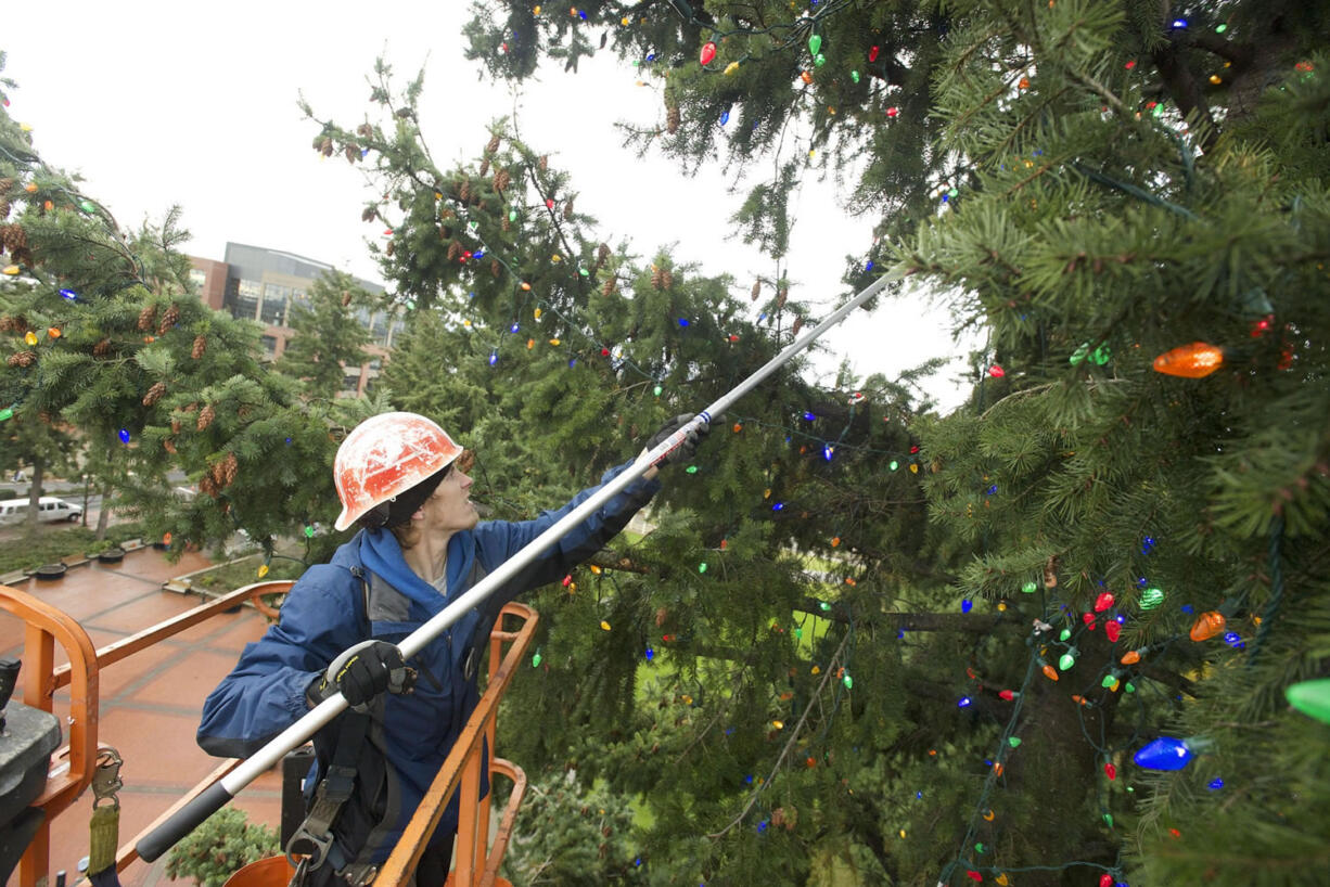 Cody Taplin, from St. Mary's Services, works 75 feet above the ground in a lift to hang lights on Vancouver's community Christmas tree at Esther Short Park on Tuesday. The tree will be lit at about 6 p.m.