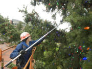 Cody Taplin, from St. Mary's Services, works 75 feet above the ground in a lift to hang lights on Vancouver's community Christmas tree at Esther Short Park on Tuesday. The tree will be lit at about 6 p.m.