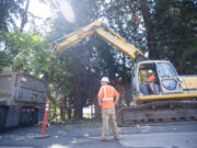 City contractor Andrew Halme of Battle Ground company Halme Excavating clears brush Wednesday along Southeast Evergreen Highway in Vancouver, where construction of a pedestrian walkway begins this week.