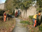 Nick Popravak, right, Chris Roberts, middle, and Stacey Wills, ground maintenance workers for the city of Vancouver, prune shrubs and clean up overgrown vegetation on Nov. 18 on the north side of Mill Plain Boulevard.